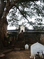 008_ Mimalaung Kyaung_0012